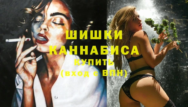 дживик Вязники