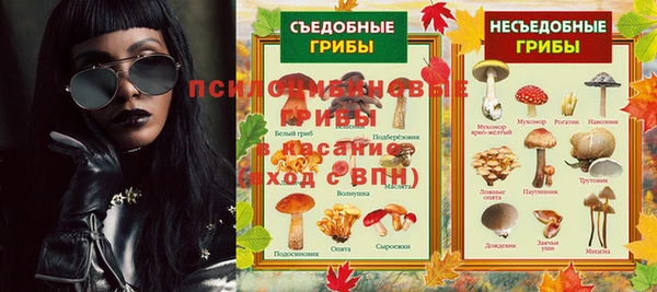 прущие крисы Вяземский