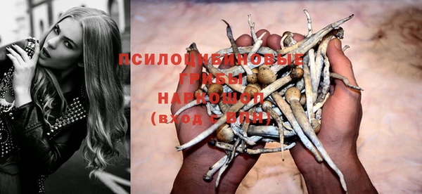 соль ск Вязьма