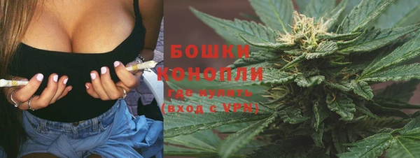 прущие крисы Вяземский