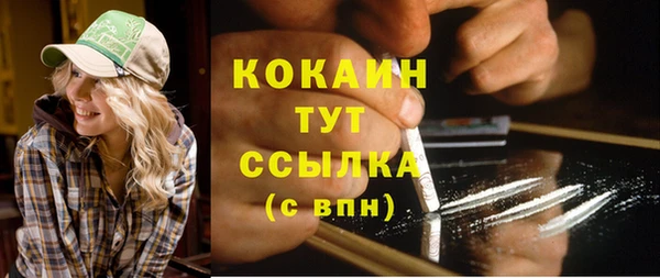 соль ск Вязьма