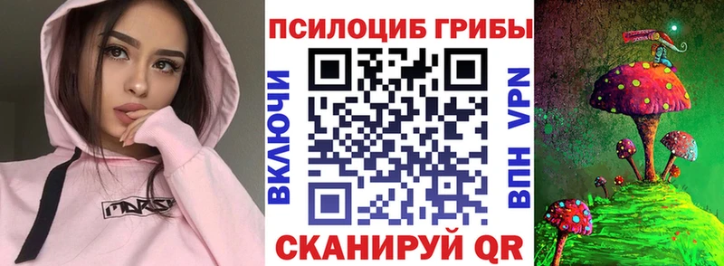 Галлюциногенные грибы Cubensis  Купить где  Каменка 